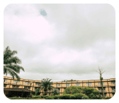 university grounds