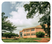 university grounds